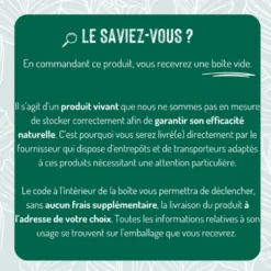 Nématodes contre papillon palmier 25 millions
