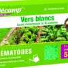 Nématodes contre vers blancs 50 m2