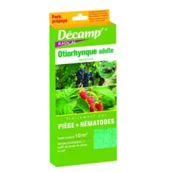 Nématodes piège othyorynque
