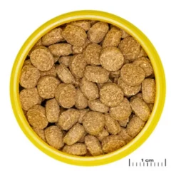 Nourriture pour crabe wafer - riche en protéines JBL ProNovo - 125g / 250ml