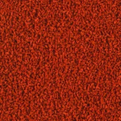 Nourriture pour discus, format économique, TETRA – Modèle Discus - 100ml / 30g