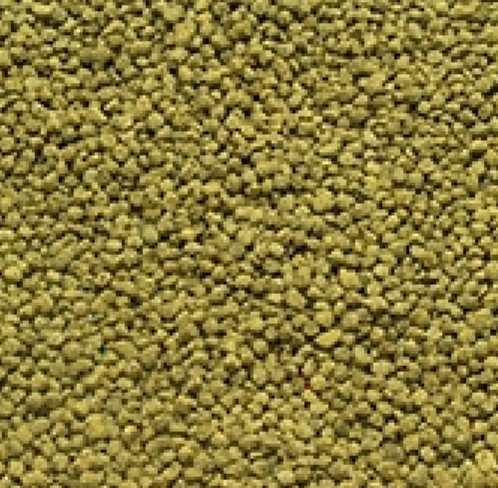 Nourriture spéciale poissons rouges - formulation unique JBL NovoPearl - contenance 250ml