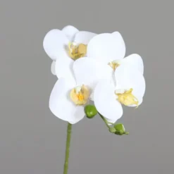 Orchidée tige crème artificielle Real Touch - 66 cm