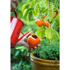 OYAS à planter émaillée Rouge