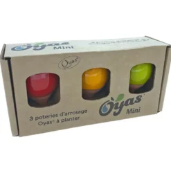 Oyas à planter mini coloris multicolore