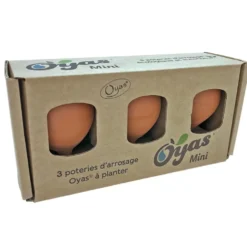 Oyas à planter mini naturel coloris multicolore