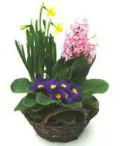Panier varié pour extérieur - La jardinière en osier