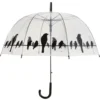 Parapluie transparent motif oiseaux Ø 83 x H 81,5 cm