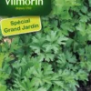 Persil Géant d'Italie Vilmorin - graines à semer