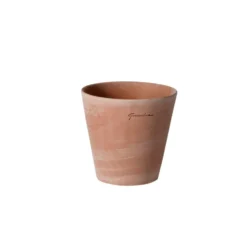 Petit cuvier rose Ø 10 cm