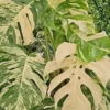 Philodendron Monstera panache avec tuteur mousse. Le pot de Ø 20 x H 80 cm
