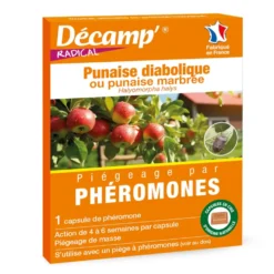 Phéromones contre les punaises diaboliques Decamp