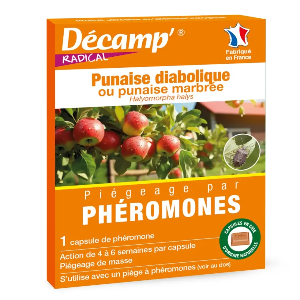 Phéromones contre les punaises diaboliques Decamp