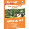 Piégeage par phéromones anti charançon rouge du palmier Décamp