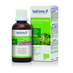 Pin sylvestre extrait de plantes fraîches bio Ladrôme - 50 ml