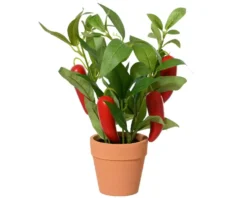 Plante artificielle piment rouge en pot - Ø 18 x H 25 cm