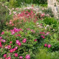 Plaquettes de châtaignier 10/40 mm botanic® - 60 L