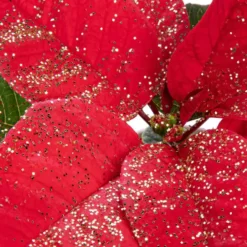 Poinsettia pailleté rouge en pot Ø 6 cm