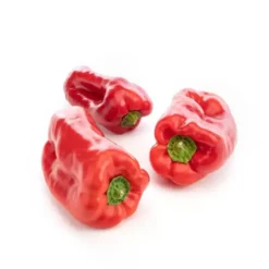 Poivrons rouges biologiques - prix au kg