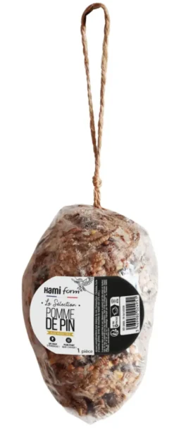 Pomme de pin à la graisse pour oiseaux de la nature Closeau