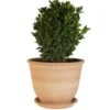 Pot Campanas lisse en terre cuite - D30x H28