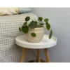 Pot coloris beige en terre émaillée Austral - Ø 20 cm