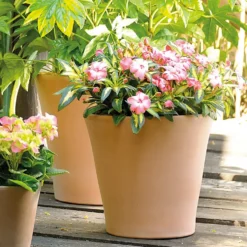 Pot Cono Antica en terre cuite claire - D 31 x H 28,4 cm