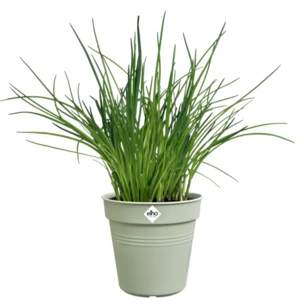 Pot de culture en polypropylène vert pierre Elho Green basics - Ø 13 x H 12 cm