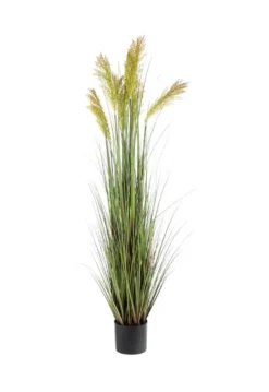 Pot de graminée épis coloris vert - 205 x 22 x 20 cm