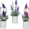 Pot de lavande coloris violet - 10 x 10 x 26 cm