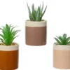 Pot de succulente coloris marron en céramique - Ø 6 cm