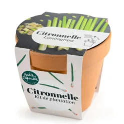Pot en terre cuite antique avec graines de citronnelle bio Radis & Capucine