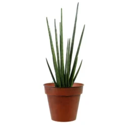 Pot horticole en acier peint brun antique Ø 19 x H 17 cm
