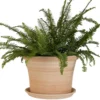 Pot rond Cocio Lisio en terre cuite claire – D30x H22