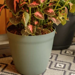 Pot rond lilo Poetic botanic® coloris vert en plastique recyclé 20,8 L - Ø 35 cm