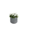 Pot rond Stream Anthracite Ø.26 x H.23,5 cm
