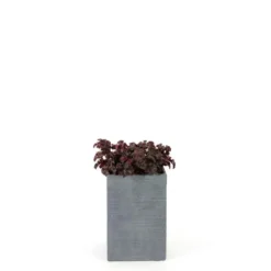 Pot Stream mi haut Anthracite L.25x25 x H.38 cm