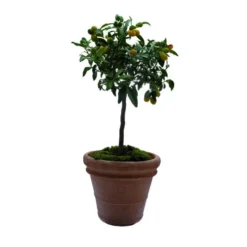 Pot Toscane en terre cuite claire - Ø60 x H50