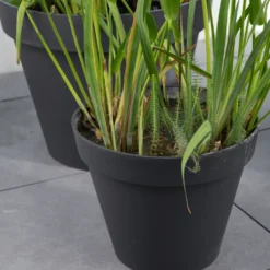 Pot Toscane Gris anthracite Ø.20 x H.17 cm