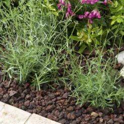 Pouzzolane rouge pour jardin de calibre 16 à 25 mm en sac de 20 L