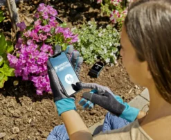 Programmation de jardin Smart Sensor coloris noir Gardena