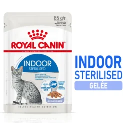 Pâtée pour chat d’intérieur stérilisé en gelée Royal Canin - 12 x 85 g
