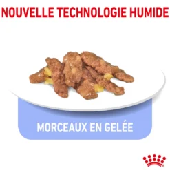 Pâtée pour chat d’intérieur stérilisé en gelée Royal Canin - 12 x 85 g