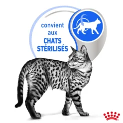 Pâtée pour chat d’intérieur stérilisé en gelée Royal Canin - 12 x 85 g