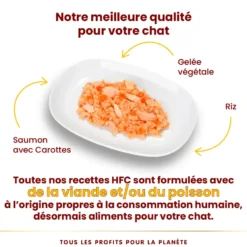 Pâtée pour chat HFC Jelly au saumon et carotte Almo Nature - 70 g