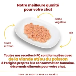 Pâtée pour chat HFC Jelly à la truite et au thon Almo Nature - 70 g