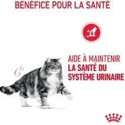 Pâtées pour chat adulte émincés en sauce Royal Canin Urinary Care - 12 x 85 g