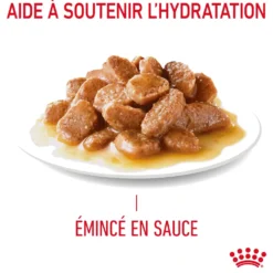 Pâtées pour chat émincés en sauce Royal Canin Appetite Control Care - 12 x 85 g