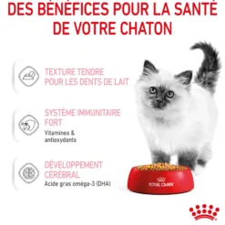 Pâtées pour chaton en gelée Royal Canin Kitten Instinctive - 12 x 85 g