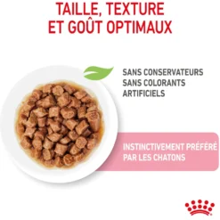 Pâtées pour chaton émincés en sauce Royal Canin Kitten - 12 x 85 g